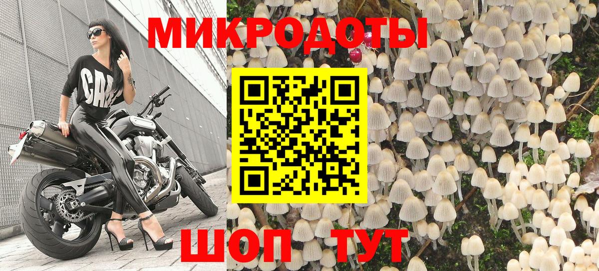 Псилоцибиновые грибы Cubensis Донской