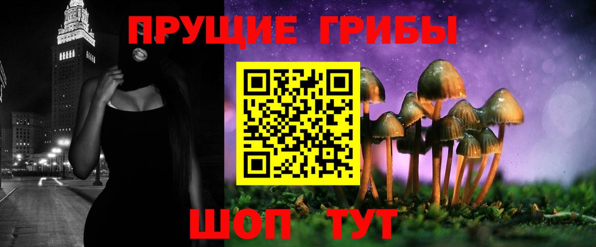 купить   Псилоцибиновые грибы мицелий  Вход с VPN  Донской 